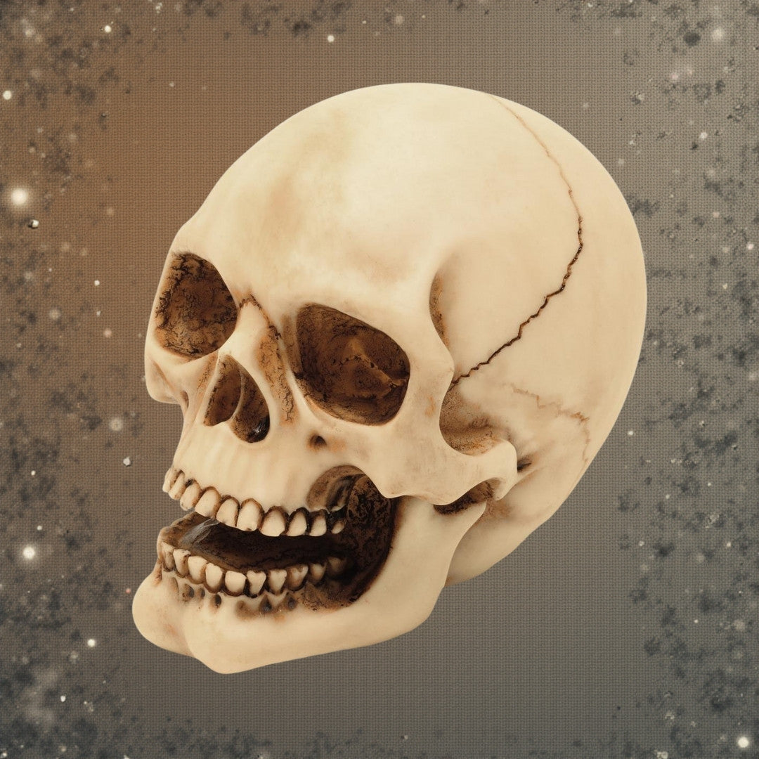 10 cm-es koponyafigura gravírozási lehetőséggel - kézzel festett polyresin dekoráció ajándékba a gothic és dark stílus kedvelőinek