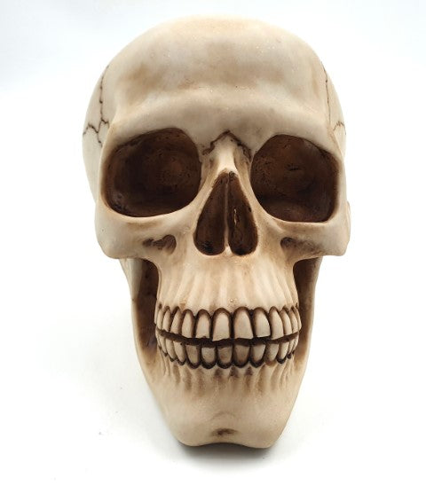 Dekoratív koponyafigura, 15 cm, polyresinből, gravírozással személyre szabható