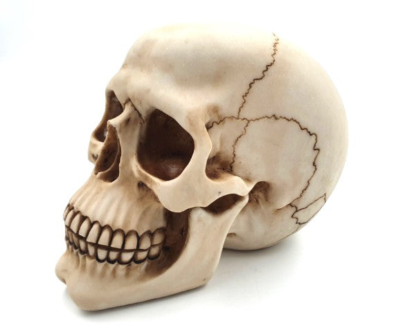 Dekoratív koponyafigura, 15 cm, polyresinből, gravírozással személyre szabható