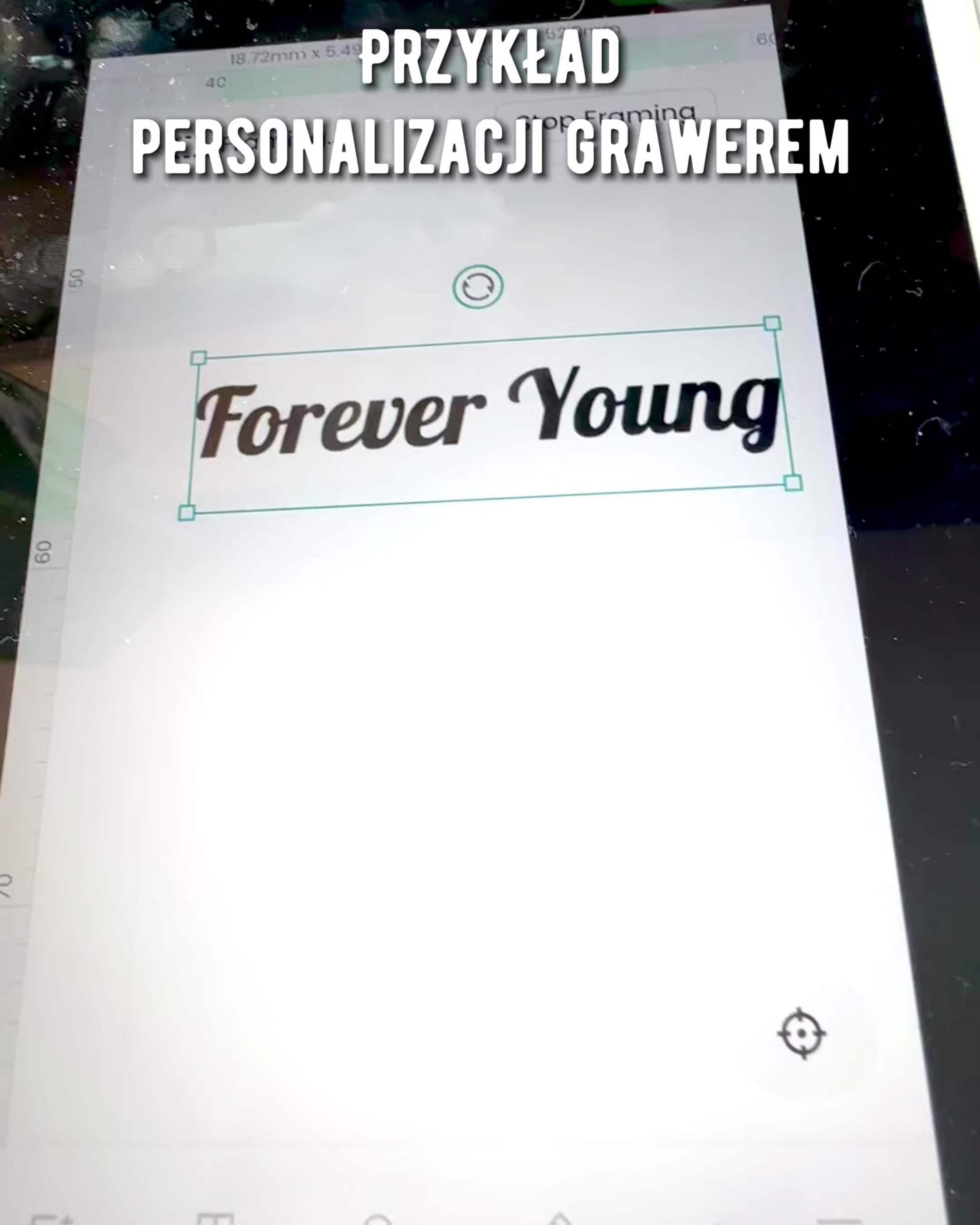 Vintage Kalligráfia Toll Természetes Lúdtollal – Ideális Ajándék Anyák Napjára vagy Tanároknak. Gravírozás