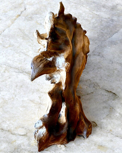 Lwia Odwaga Figurka z Żywicy, 28 cm wysokości, z opcją grawerowania na prezent