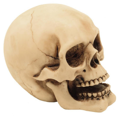 10 cm-es koponyafigura gravírozási lehetőséggel - kézzel festett polyresin dekoráció ajándékba a gothic és dark stílus kedvelőinek