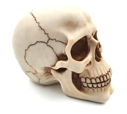 Dekoratív koponyafigura, 15 cm, polyresinből, gravírozással személyre szabható