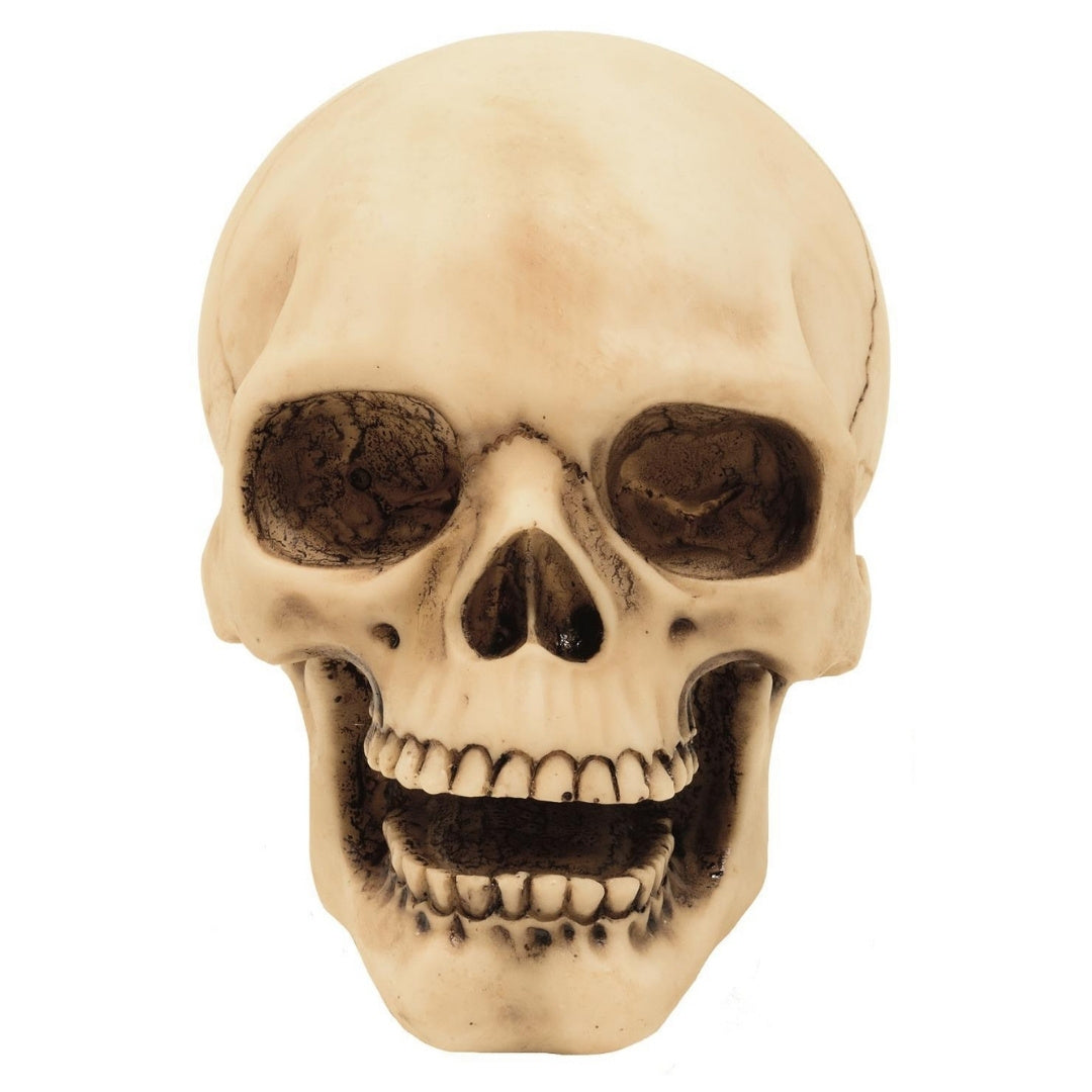 10 cm-es koponyafigura gravírozási lehetőséggel - kézzel festett polyresin dekoráció ajándékba a gothic és dark stílus kedvelőinek