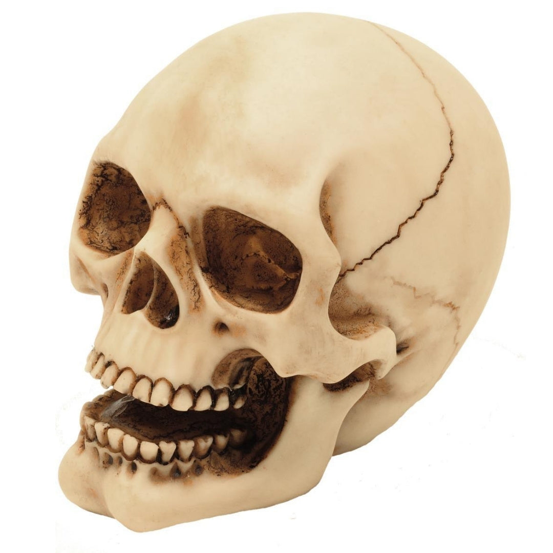 10 cm-es koponyafigura gravírozási lehetőséggel - kézzel festett polyresin dekoráció ajándékba a gothic és dark stílus kedvelőinek