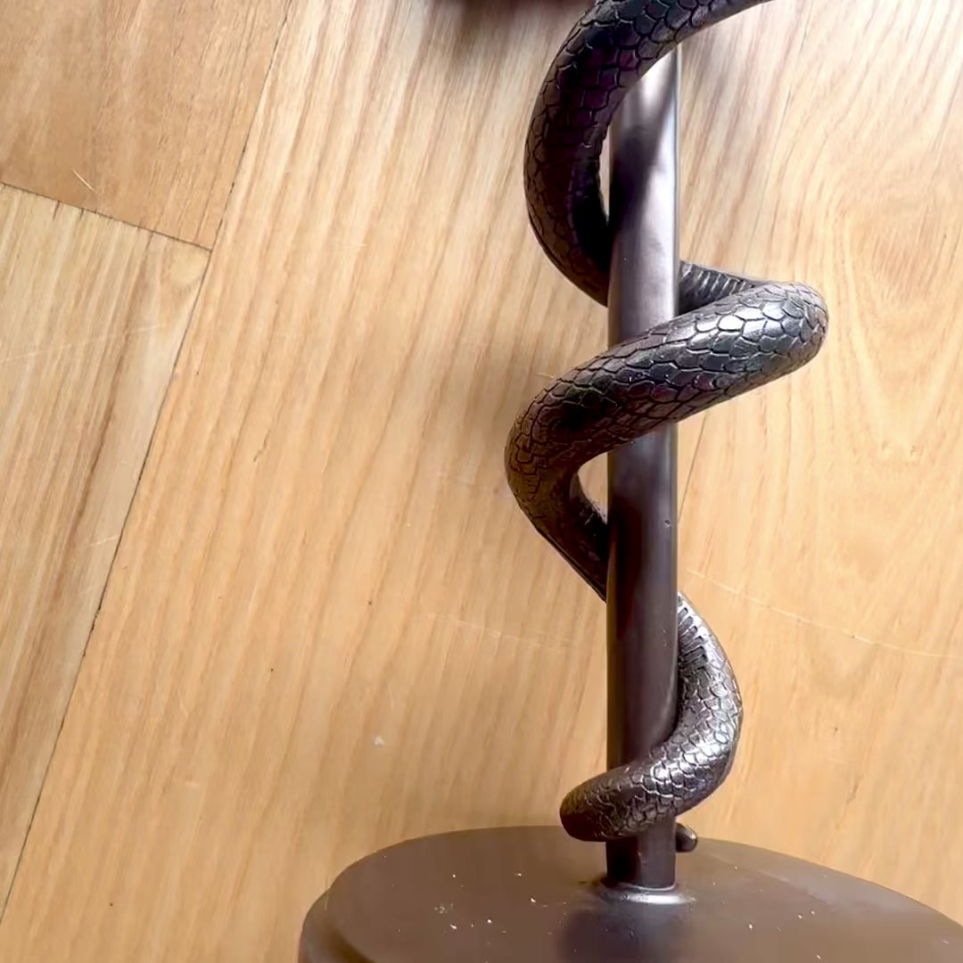 30 cm-es Aszklépiosz pálcája figura gyantából - személyre szabott ajándék orvosnak, ápolónak vagy gyógyszerésznek - barna/réz dekoráció gravírozással